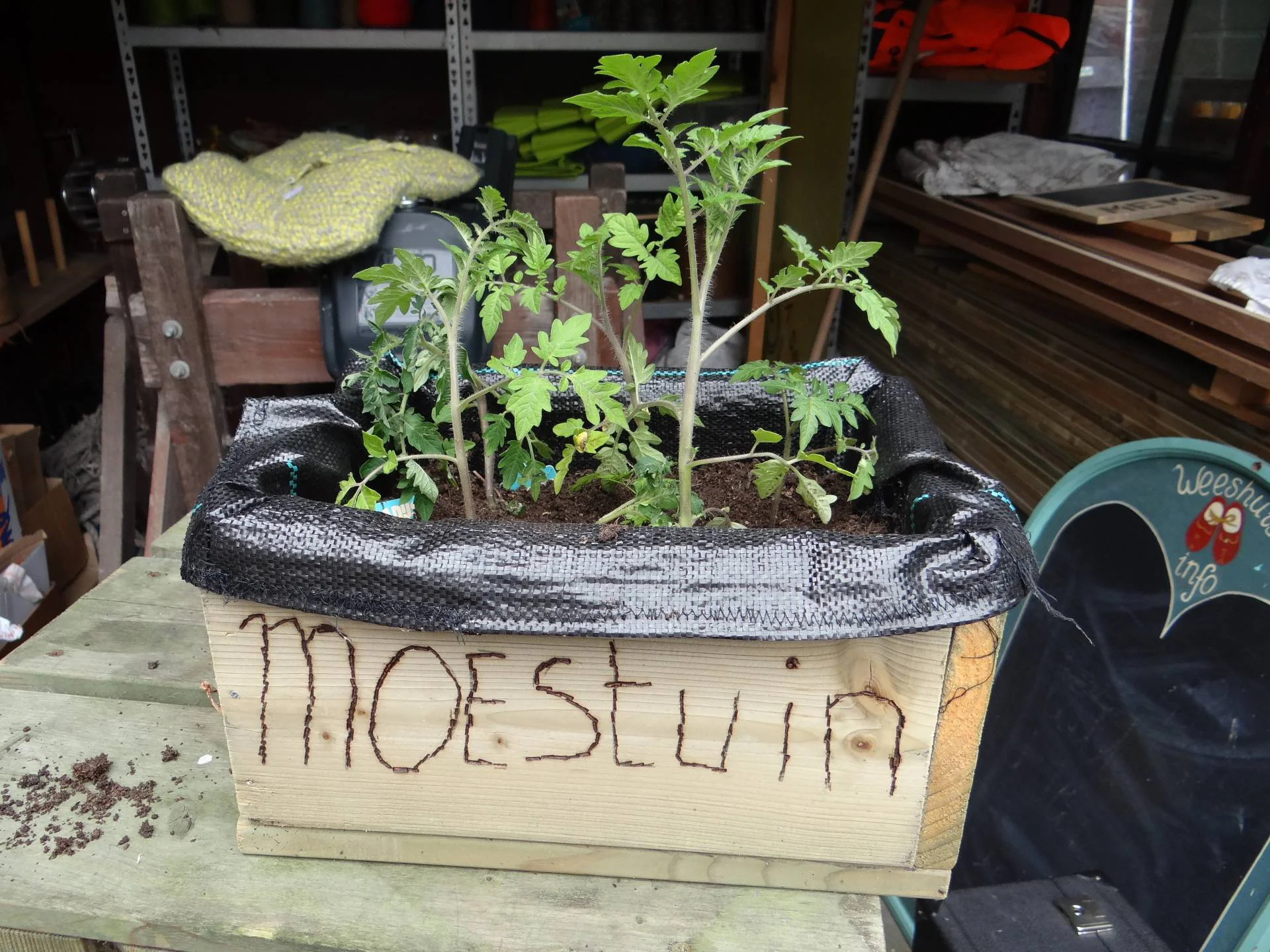 Moestuin