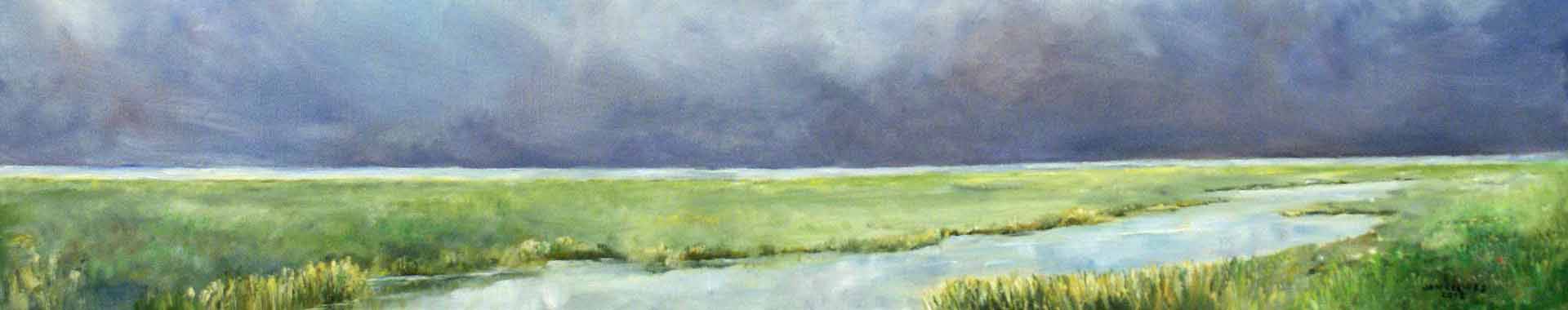polderlandschap smal